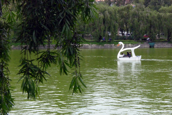 E-EDU-33.jpg