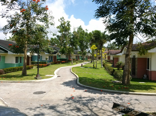 CAM00645.jpg