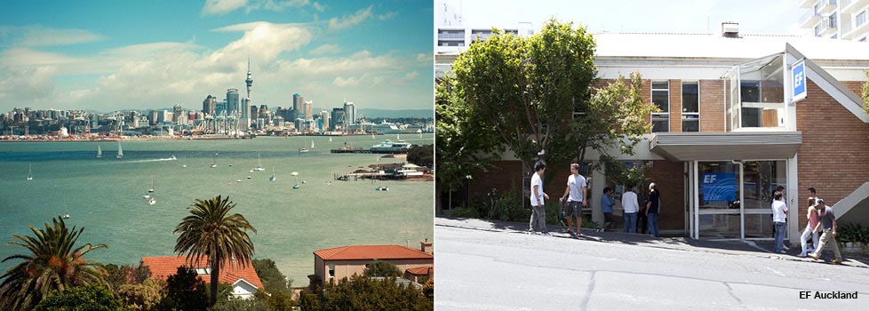 Auckland_VO1.jpg