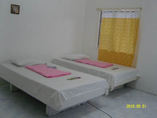 SNC10215.jpg