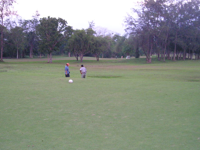 P1010224.jpg