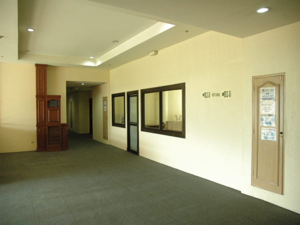 PINES_1243480886.jpg