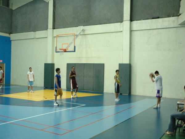 PINES_1243481040.jpg
