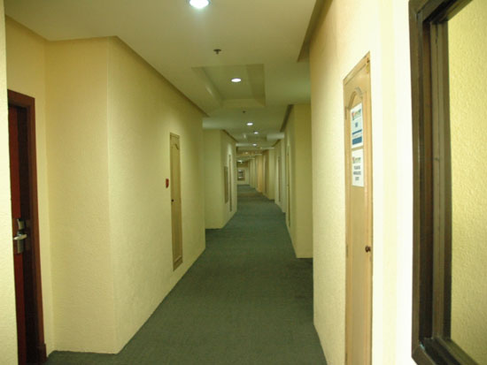 PINES_1243480896.jpg