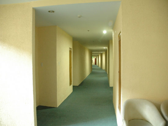 PINES_1243480791.jpg