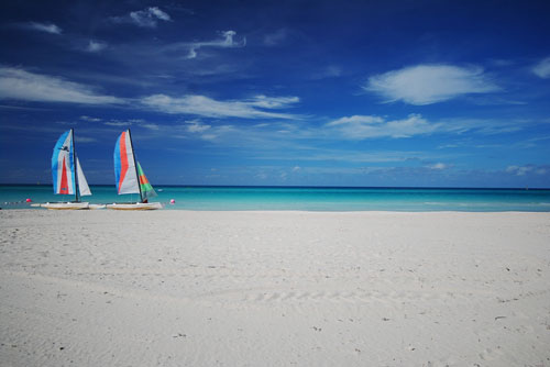 s-DSC_0333.jpg