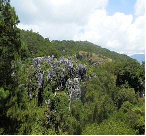 0731-monol03.jpg